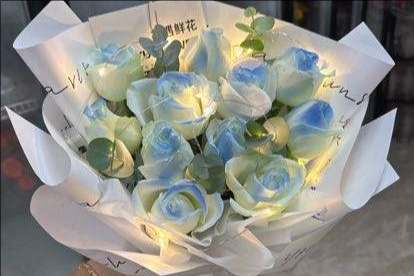 �����첼����������